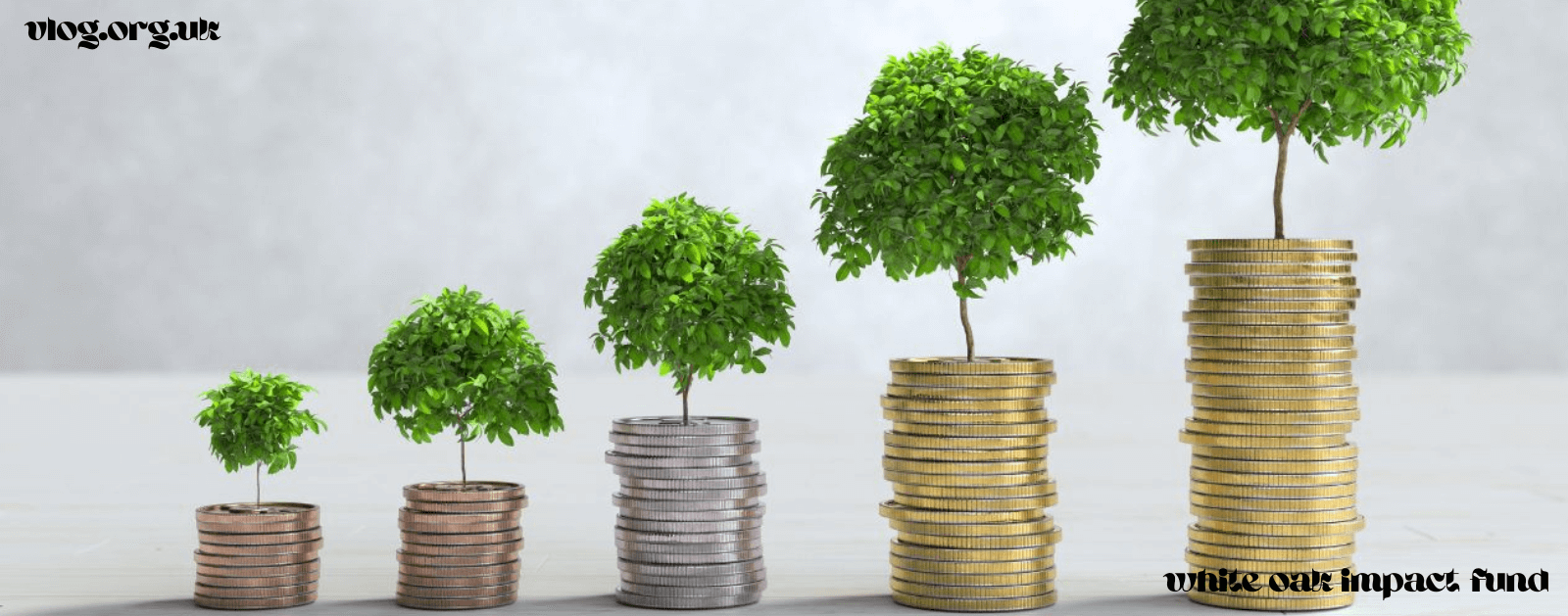 White Oak Impact Fund: A Trusted Investment Vehicle for a Greener Tomorrow
