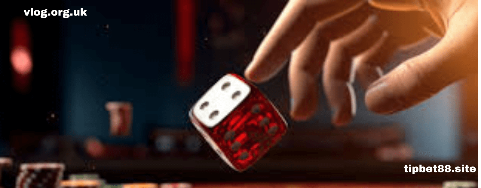 tipbet88.site