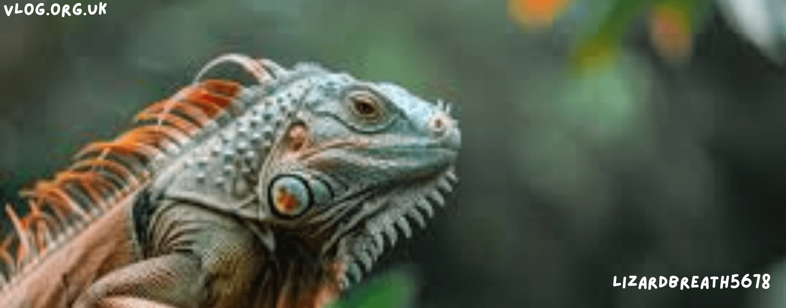 lizardbreath5678