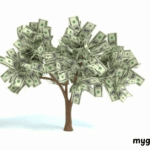 mygreenbucks .net