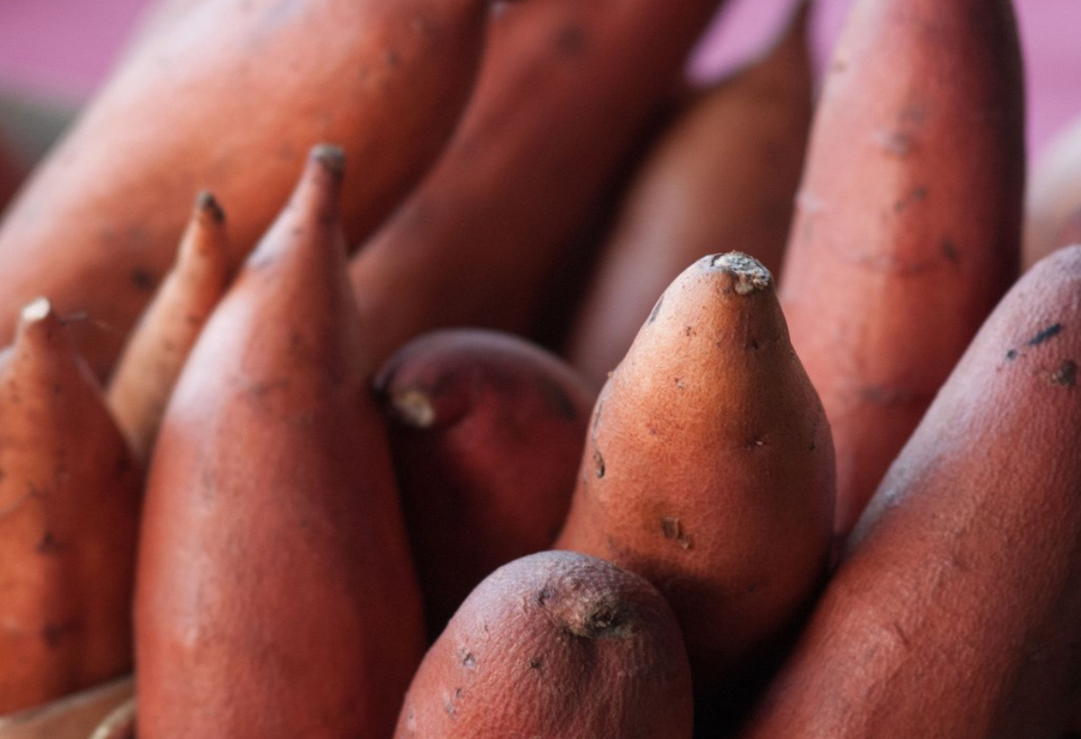 How Far Did Sweet Potatoes Travel to Texas?