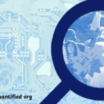 crew disquantified org